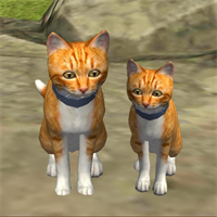 可爱小猫模拟器-模拟猫咪野外生存v1.0.7